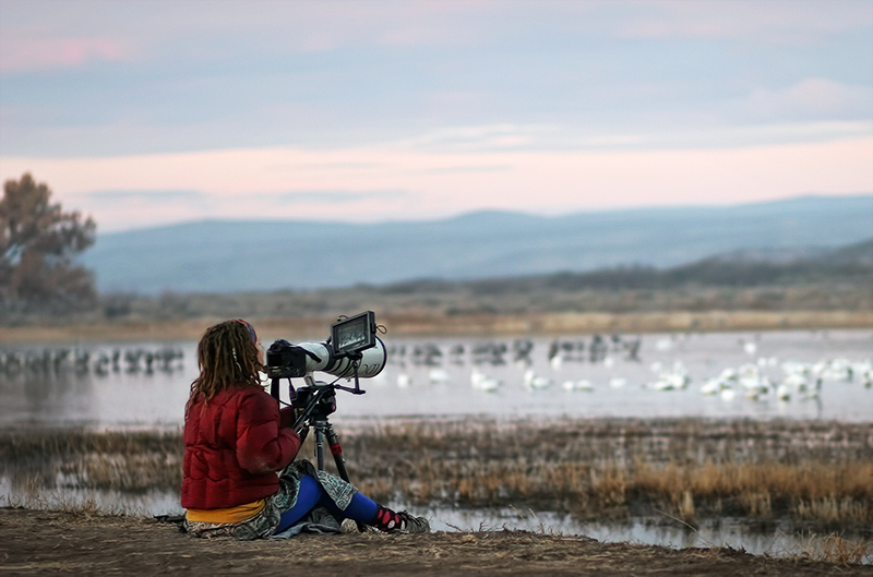 Sunrise, Bosque del Apache