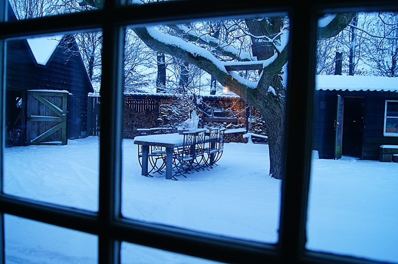 Looking out on a cold morning