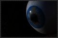 The Gaze