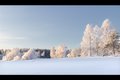 White Christmas