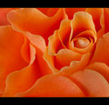 Delicate touch