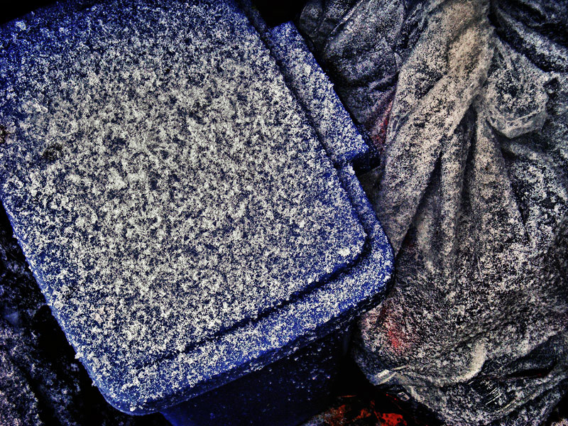 The Confectioner's Bin