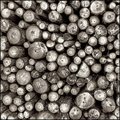 The Old Wood Pile