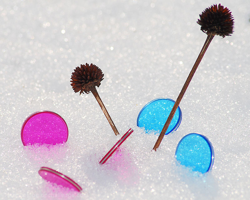 Debris in the snow