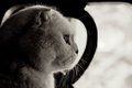 Longing For Outdoors
