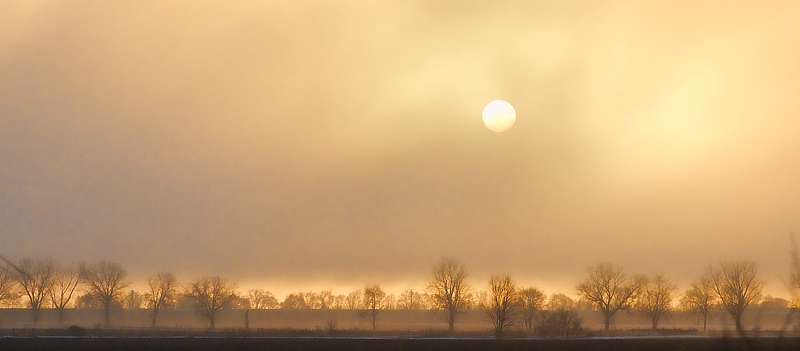 Evening Fog Descending
