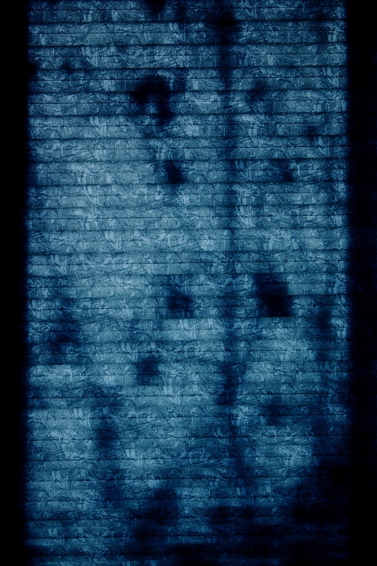 Winter Shadow