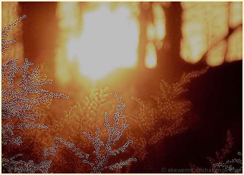 lightscape