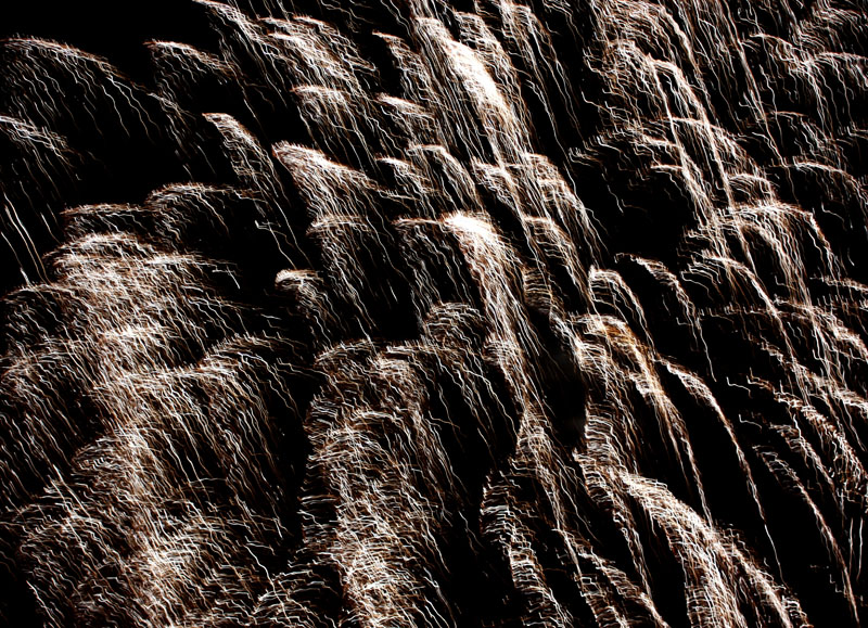 The Last One !!!!   "Happy New Year"