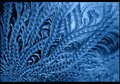 Jack Frost Was Here
