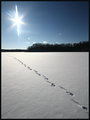 Solo walk on a frozen lake - time for reflection