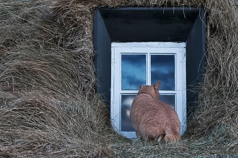 Outside looking in