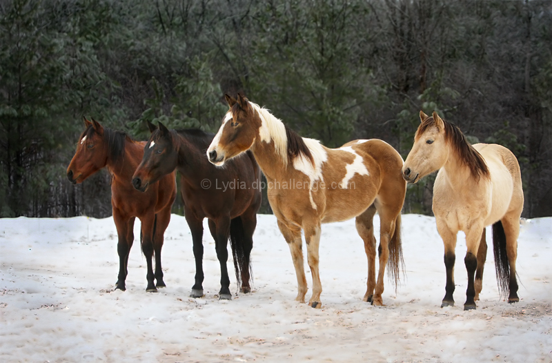 "Ok, everybody turn to your right... THAT's it... now smile.  Good!  Now... give me SEXY!"