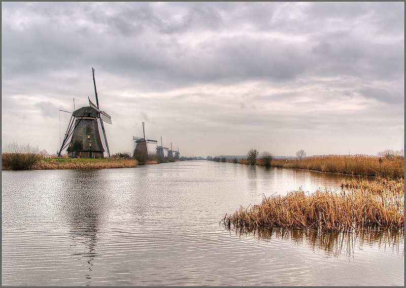  Dutch "Polder" Landscape