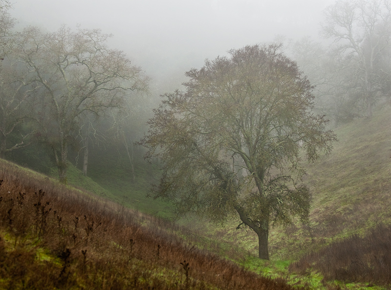 On the way to Castlerock