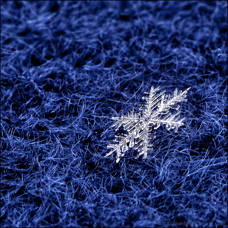 Snowflake