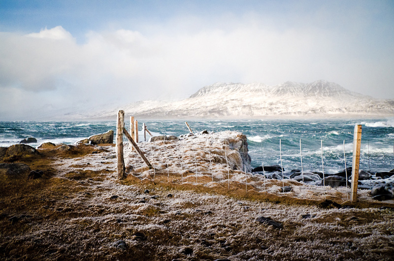 Cold and windy day.