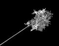 Needle Point Snowflakes