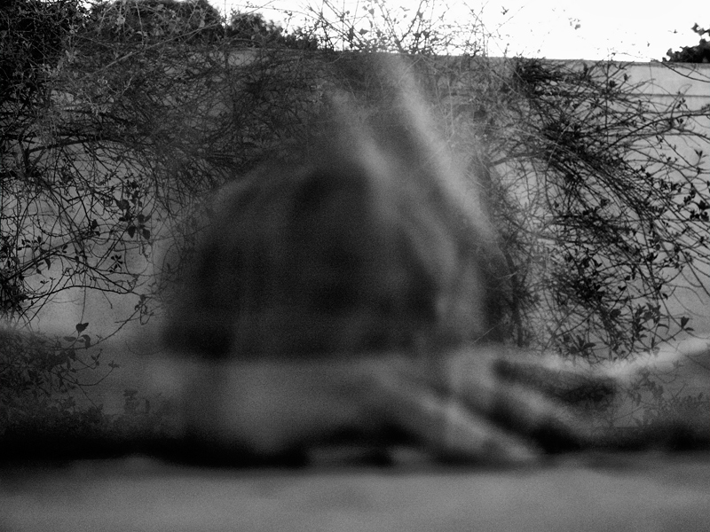 moondance