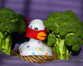 Known as~DORRO~he layed his eggs in the purple lands...randomly...as only a spotted duck can...