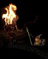 Lord of the Rings: Ganduck Confronts the Balrog