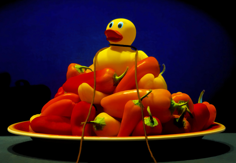 The Red, the Yellow, & the Gold: Ducky guards her hoard of Ancient Sweets.
