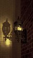 I love Lamp.