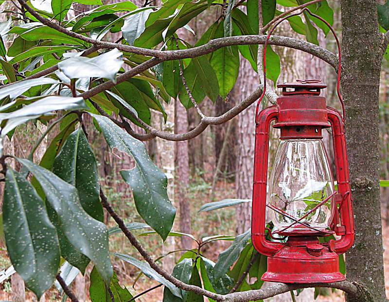 Outside Lamp