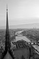 Quasimodo's Bedroom View