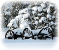 Winter Wagon