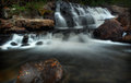 Chutes aux Rats