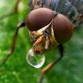 "Lots of water,...that's my beauty secret"