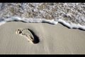 Washed away footprints