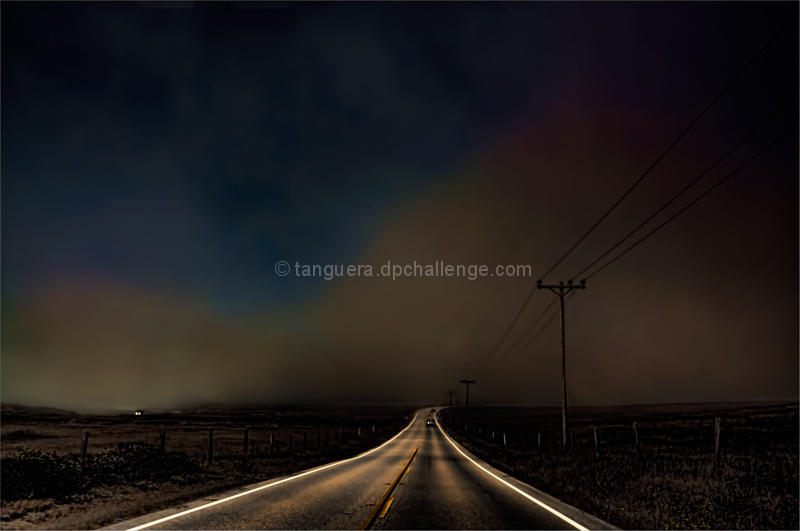 The Fog