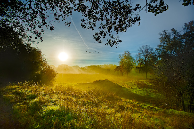 Early Morning