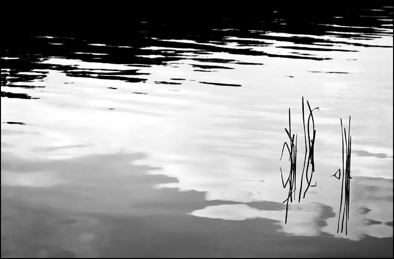 Staring Into the Water, Lost in Thought