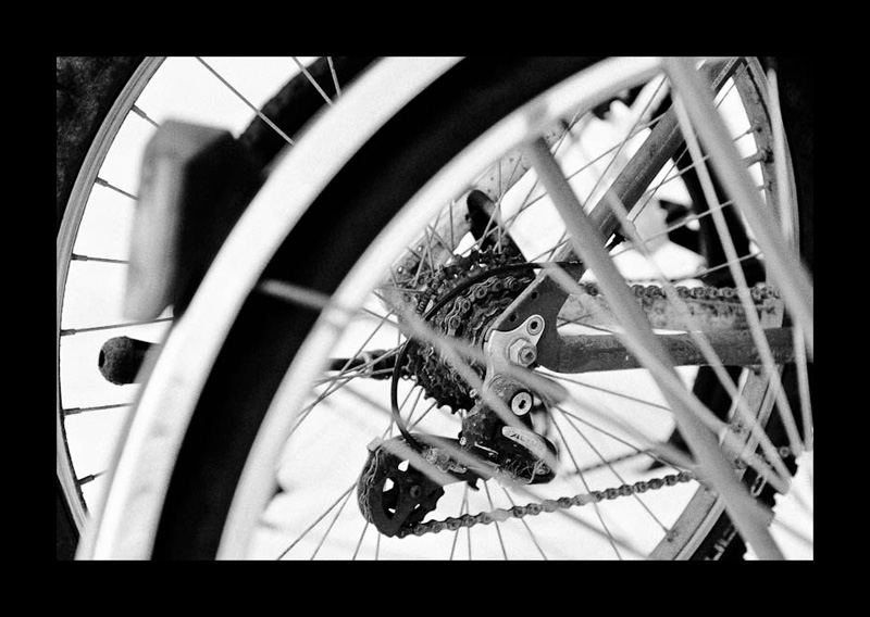 Withered Wheels