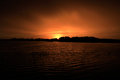 Everglade Morning