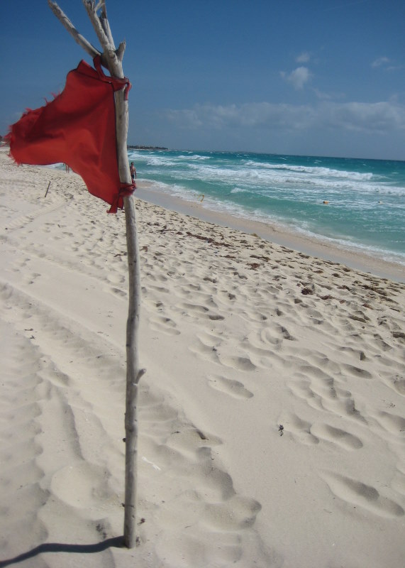 Fire-y coloured flag dancing in the wind