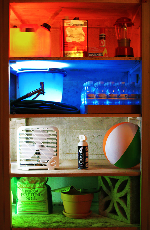 Domesticated Elements