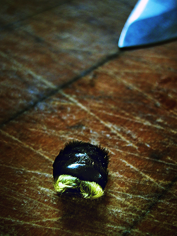 Eric the Half-a-Bee
