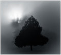 Sentinel