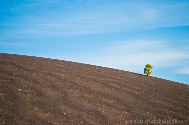 Cindercone Sentinel