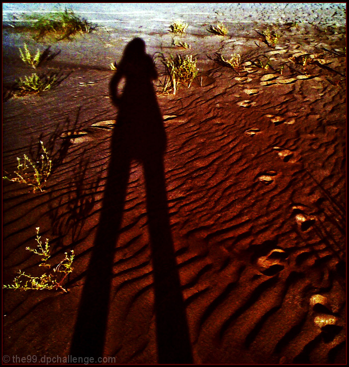 Sentinel of the dunes
