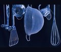 Favorite:  Any Cooking Utensil