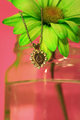 Favorite Necklace