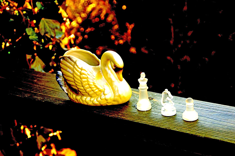 Goose vs chess pieces