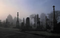 Morning Mist