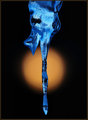 By the light of the moon
