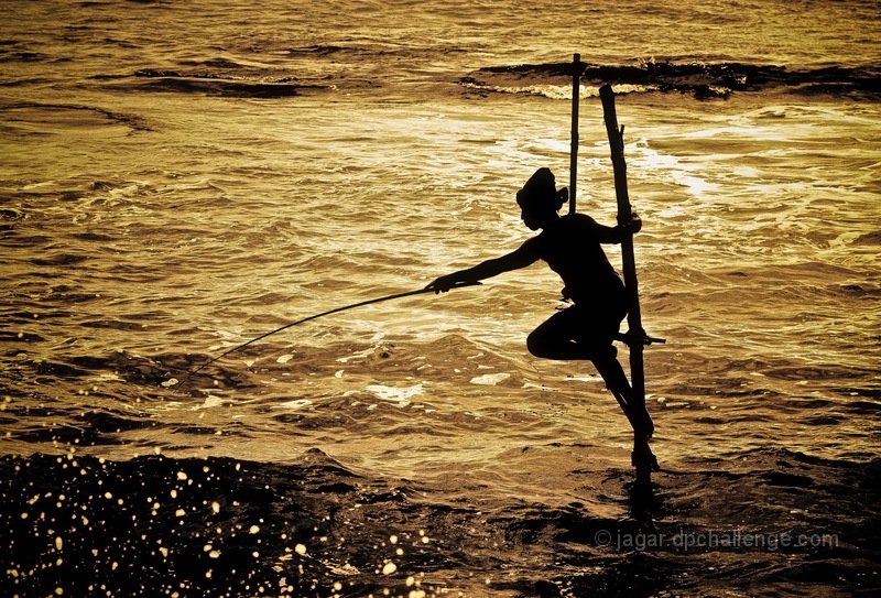 The Stilt Fisherman
